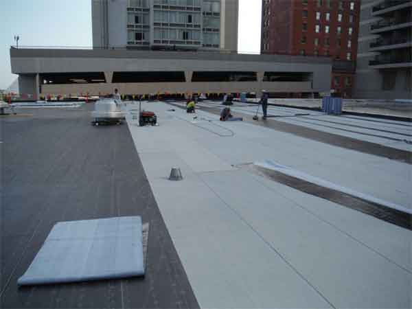 Commercial Roofing System